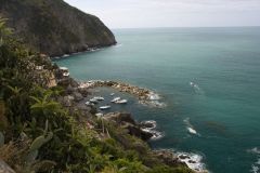 IMG_0659